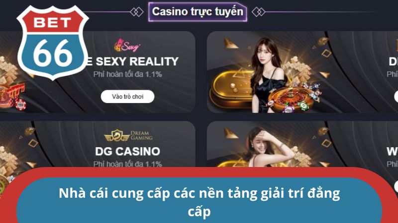 Trang chủ 29 Nhà cái cung cấp các nền tảng giải trí đẳng cấp