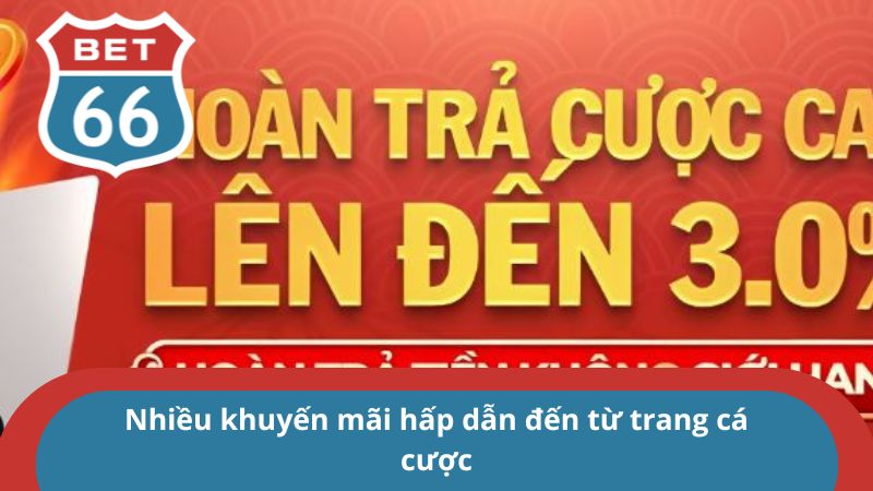 Trang chủ 34 Nhiều khuyến mãi hấp dẫn đến từ trang cá cược